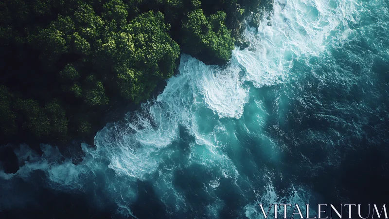 Aerial coastal interface with lush cliff forest and teal surf