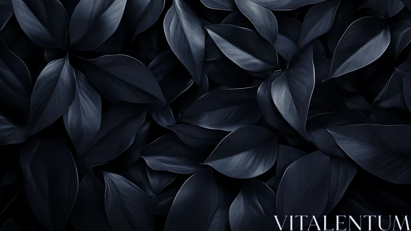 Dark monochrome foliage forms dense overlapping pattern