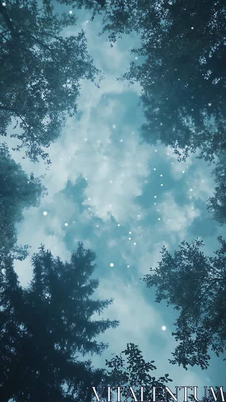 Forest Canopy Looking Upward with Magical Particles.