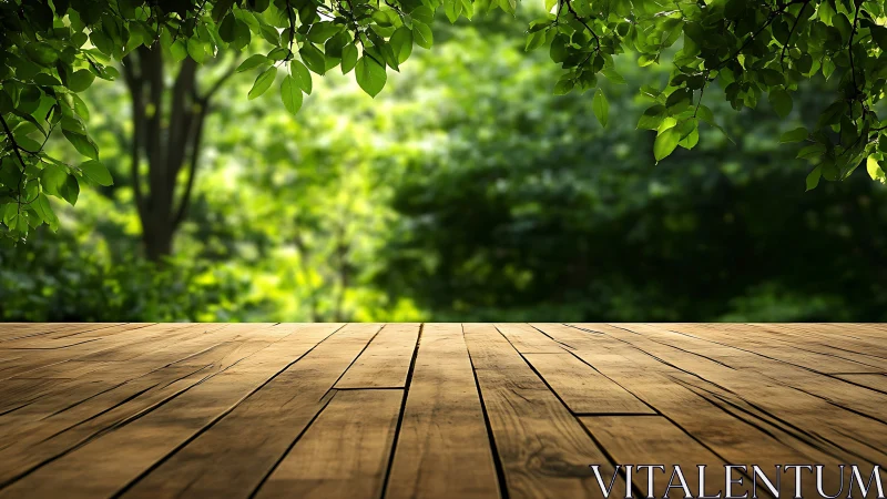 Wooden Deck Overlooking Serene Garden With Lush Green Foliage