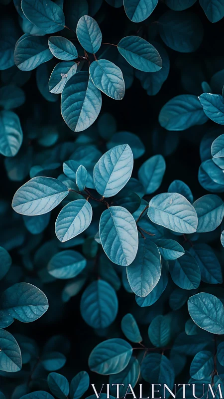 Blue-toned elliptical foliage pattern in close-up view.