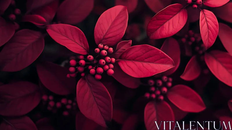 Crimson leaves and berries basking in moody evening light.