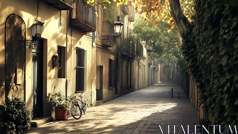 Sunlit European alleyway captures warm autumnal ambience