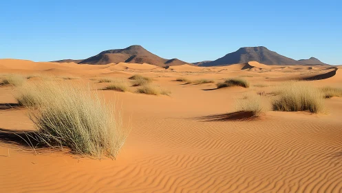 Golden desert dunes roll toward distant rocky mountains
