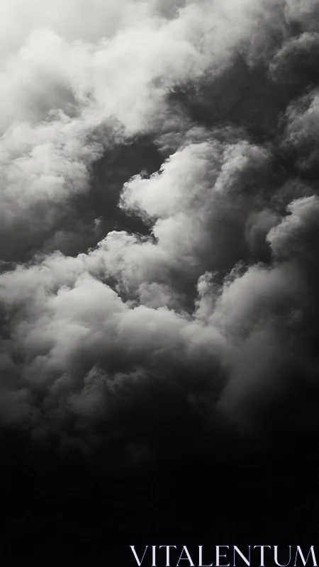 High-contrast cumulonimbus cloud mass in vertical chiaroscuro field.