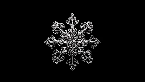 Symmetrical metallic snowflake form is centered on black