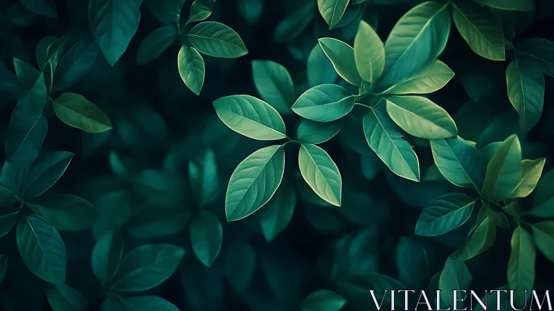 Midnight garden leaves whisper softly in teal light