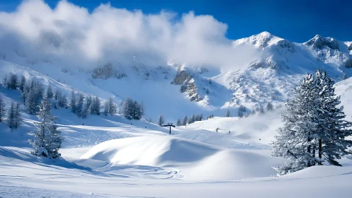 High-alpine powder landscape with ski tracks and cloud inversion