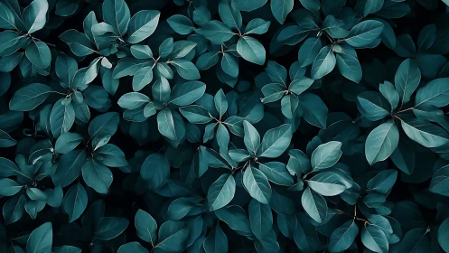 Teal-toned foliage spreads in a calm, minimal botanical pattern