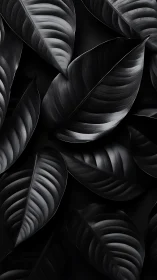 Monochrome botanical leaves with sculpted satin texture.