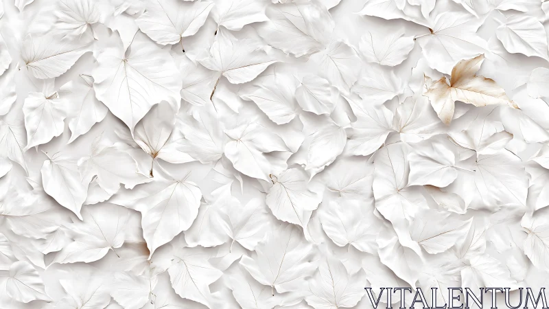 Quiet albino leaves cradle one golden whisper of autumn.