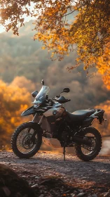 Golden hour escape with an adventure bike under autumn trees.