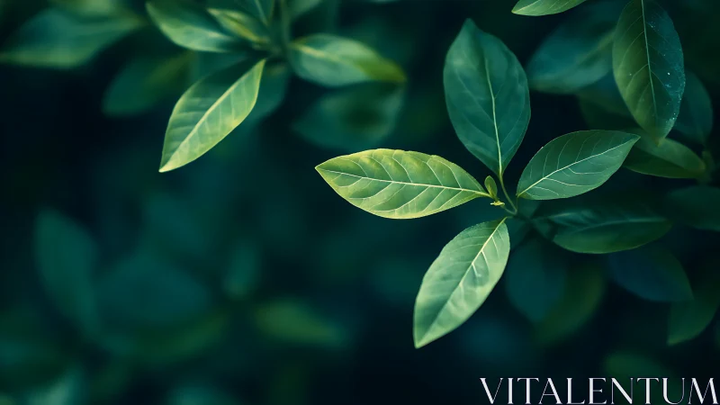 Luminous green leaves suspended over deep teal shadows.