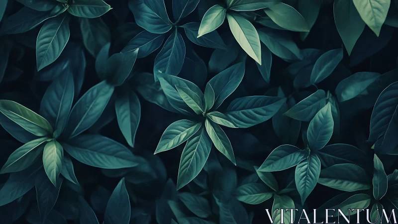 Midnight garden leaves in a calm, deep teal embrace.