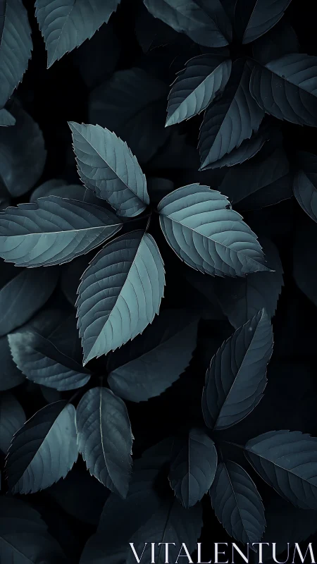 Midnight leaves unfold quietly in a calm forest embrace