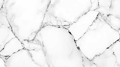 Elegant white marble texture enhances clean minimal interiors