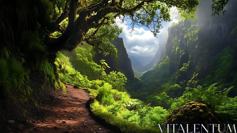 Convergent canyon formation reveals layered geological stratification beneath dense temperate forest