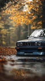 Autumn forest cradles a classic blue coupe in quiet allure.