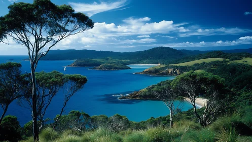 Turquoise waters and green peaks frame this coastal paradise vista.