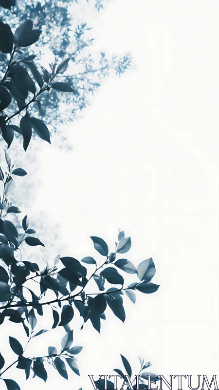 High-key botanical canopy in cool monochrome tonal register.