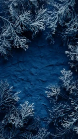 Frosted evergreen branches framing deep blue winter background.