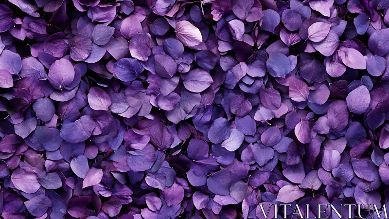 Purple hydrangea petals forming dense floral texture background.