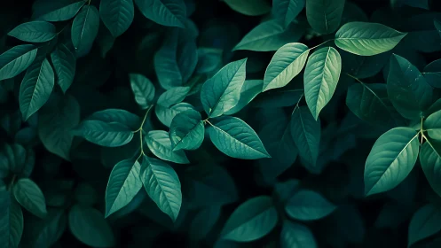 Moody teal foliage pattern with overlapping leaves in shade.