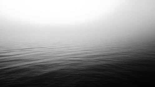 Minimalist seascape under dense white coastal fog bank.