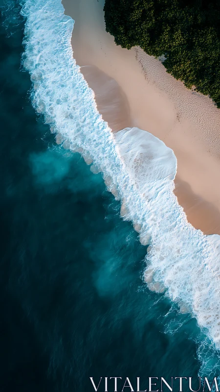 Aerial littoral interface with foaming shore break dynamics.