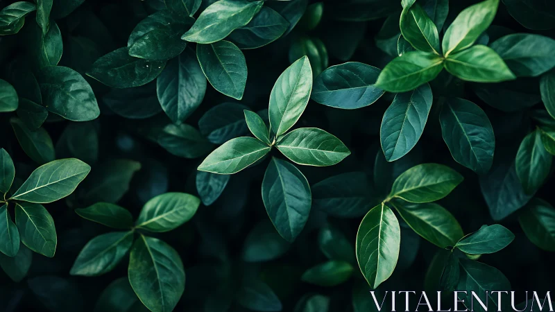 Quiet green leaves gather softly in a calm forest hush