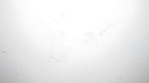 High-key textured white plaster wall with subtle surface relief