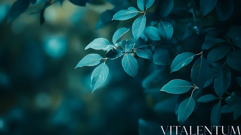 Nocturnal teal foliage with shallow-depth photographic focus.