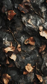 Dry autumn leaves scattered across dark rugged rock surface.