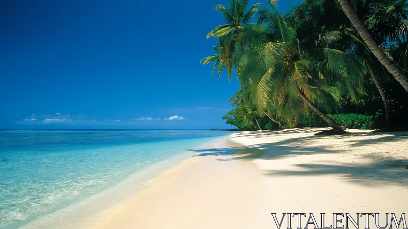 Tropical Paradise Awaits at This Pristine Beach