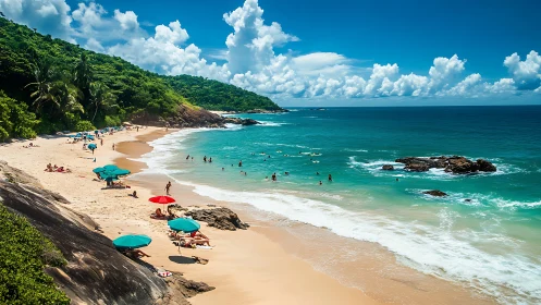 Coastal shoreline shows crowded beach and adjacent forest