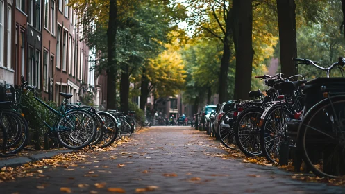 Peaceful Urban Path Where Bicycles Rest Among Golden Autumn Leaves.