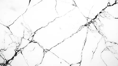 White stone surface with irregular dark fracture lines.