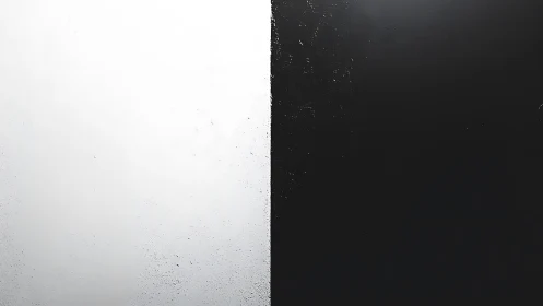Bold black and white split wall captures stark contrast.