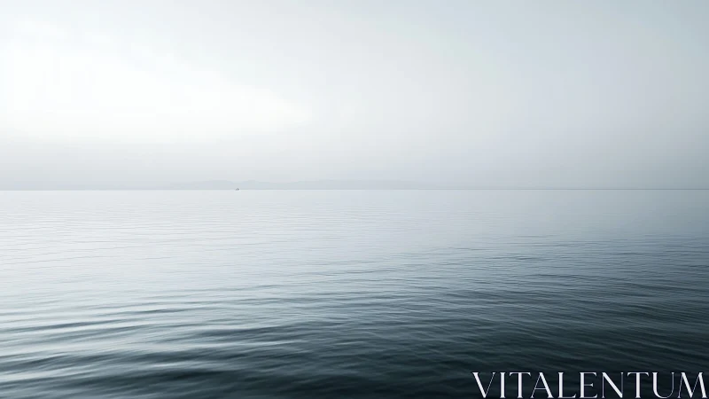 Minimalist seascape photograph with tonal gradient horizon line.