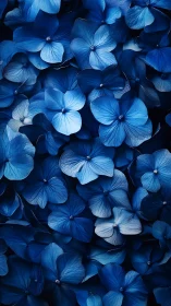 Blue Hydrangea Cluster: Dense Floral Composition Study.