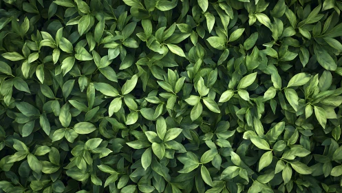Dense green foliage background with layered fresh leaves.