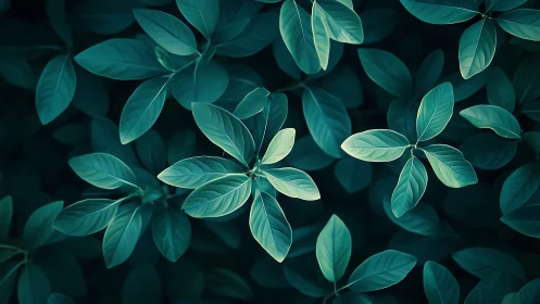 Moody teal foliage forms a calming abstract nature pattern