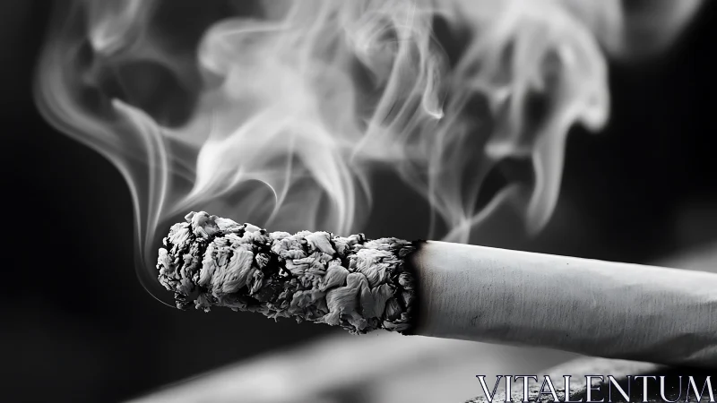 Burning cigarette end emits smoke in monochrome close-up