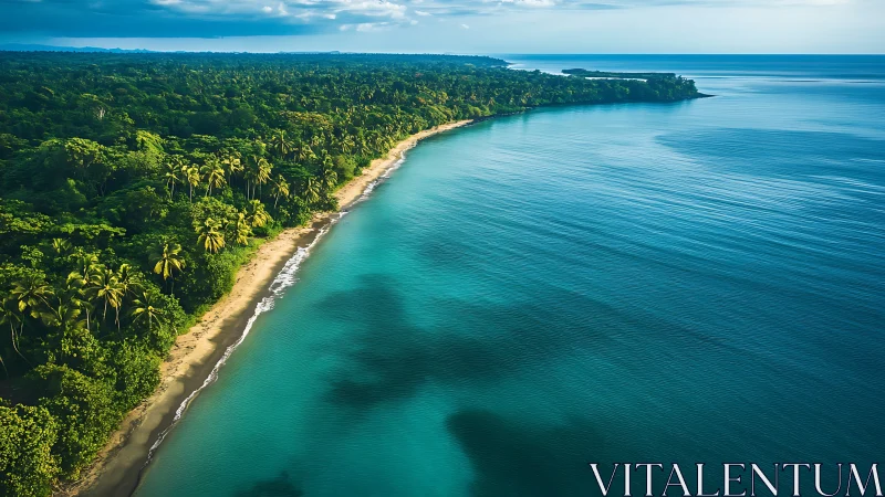 Tropical coastline with turquoise bay and dense palm forest.