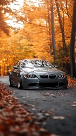 Lowered grey BMW coupe parked on forest road in autumn.