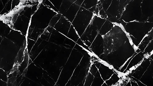 High-contrast black marble slab with crystalline veining patterns