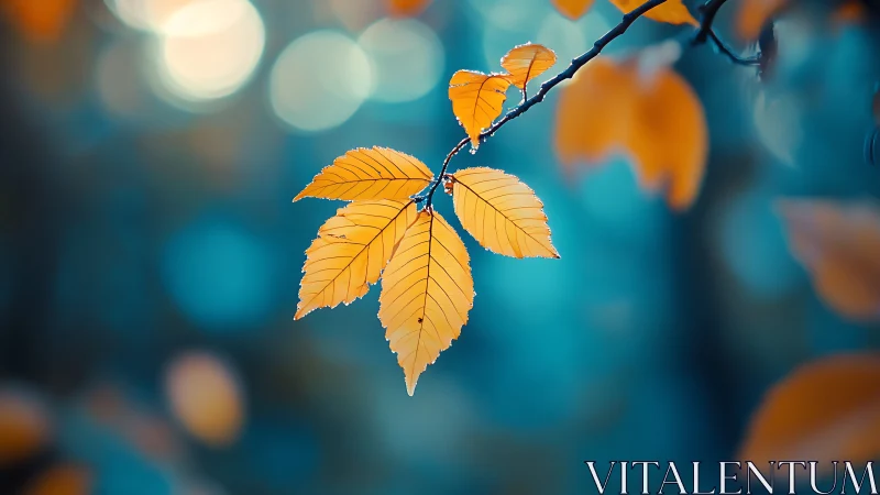 Golden Autumn Leaves on Branch with Soft Blue Bokeh Background.