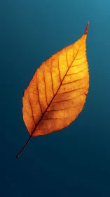 Golden autumn leaf glowing softly against deep blue sky.