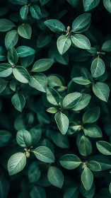 Emerald leaf lattice weaving quiet patterns in deep shade.