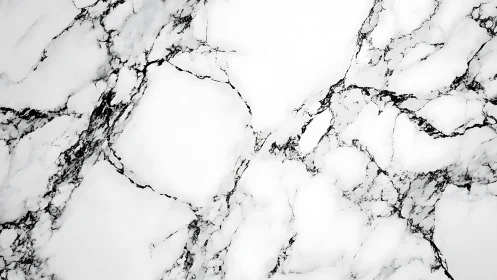 High-contrast white marble slab displays organic veining network